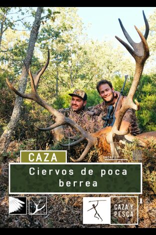 Ciervos de poca berrea