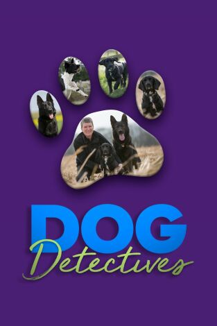 Perros detectives