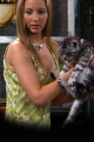 Friends, Season 4. T(T4). Friends, Season 4 (T4): Ep.2 El de la gata