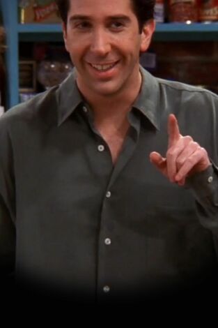 Friends, Season 5. T(T5). Friends, Season 5 (T5): Ep.19 El que Ross no sabe flirtear