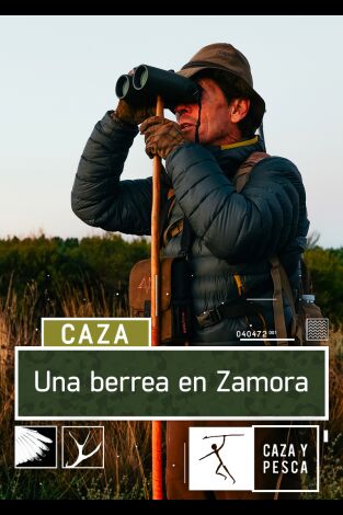 Una berrea en Zamora