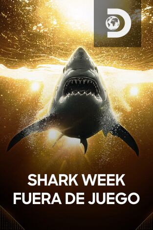 Shark Week: detrás de cámaras