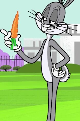 New Looney Tunes, Season 1. T(T1). New Looney Tunes,... (T1): Un conejo en la casa blanca / Bugs el bárbaro