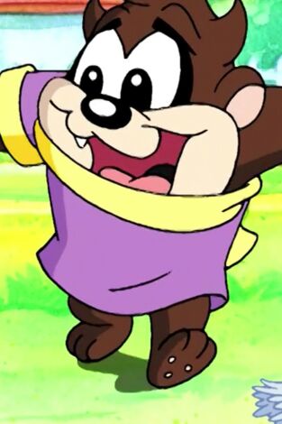 Baby Looney Tunes, Season 1. T(T1). Baby Looney... (T1): Que gane el mejor taz