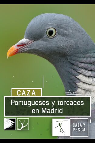 Portugueses y torcaces en Madrid