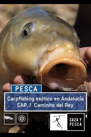 Carpfishing exótico en Andalucia. T(T1). Carpfishing... (T1): Conde de Guadalhorce