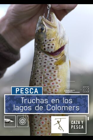 Truchas en los lagos de Colomers