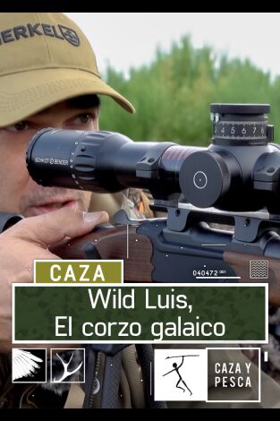 Wild Luis:  El Corzo Galaico