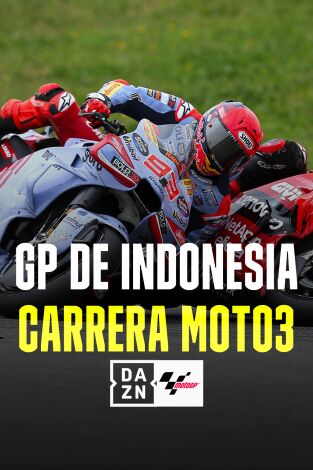 GP Indonesia. T(2024). GP Indonesia (2024): Carrera Moto3