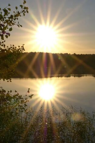 La fauna y la flora de los lagos secretos