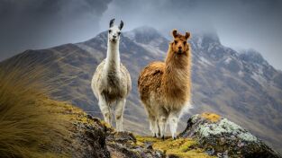 Sudamérica. Sudamérica: Los extremos de la Tierra