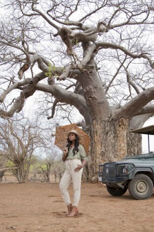 África de safari. África de safari: El edén de Kruger