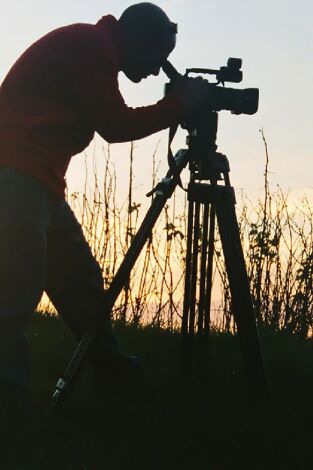 23,5º, el ritme de la Terra. 23,5º, el ritme...: La mà invisible