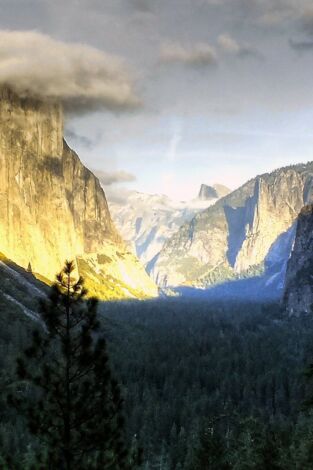 El gran camí. El gran camí: El Camí de Carena del Pacífic