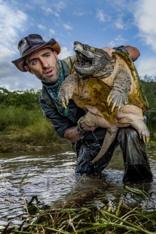 Coyote Peterson en lo salvaje. Coyote Peterson en lo...: Pesadillas de aracnofobia