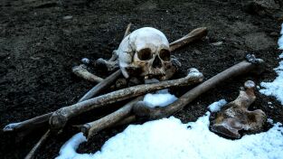 Arqueología en el hielo. Arqueología en el hielo: La venganza del asesino zombi