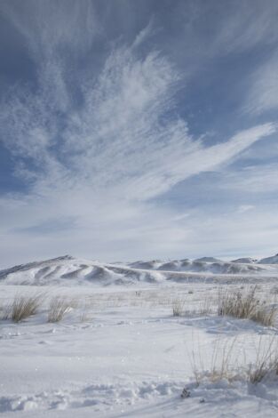 Wild Mongolia: tierra de extremos. Wild Mongolia: tierra...: Pradera extrema