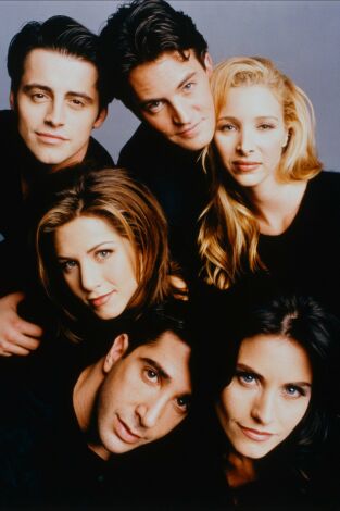 Friends, Season 2. T(T2). Friends, Season 2 (T2): Ep.17 El de cuando Eddie viene a casa