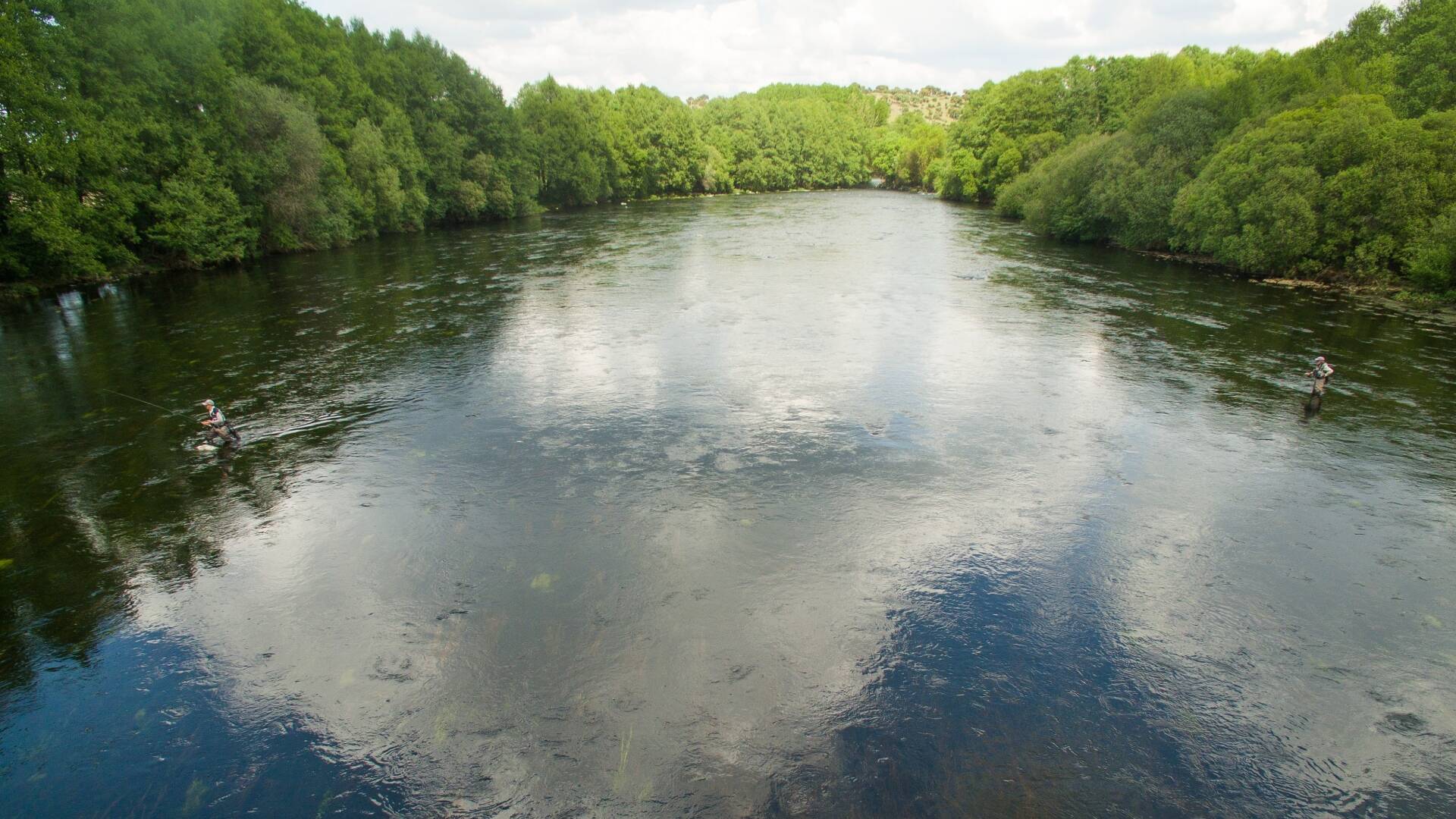 El oráculo del Tormes