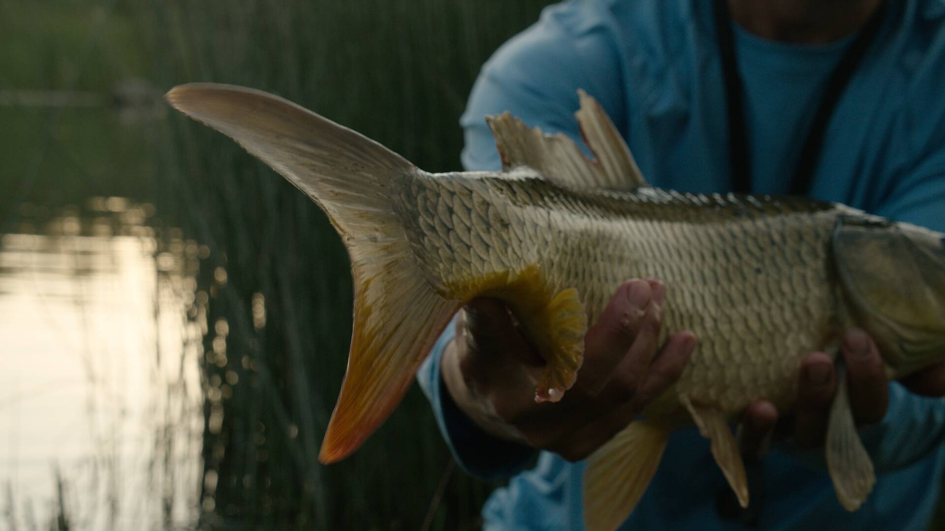 Almeirim, una pesca en familia