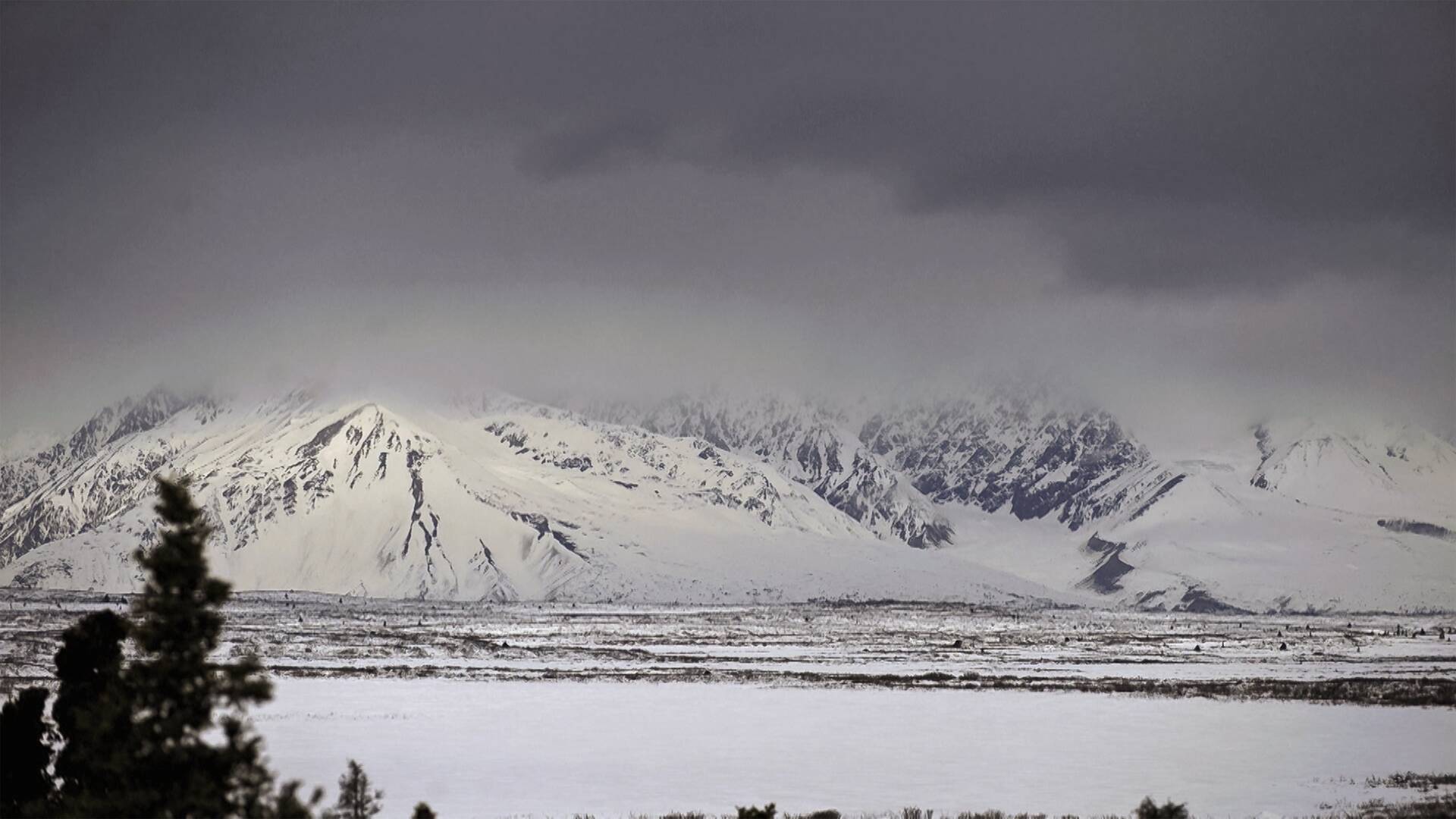 Los más letales de Alaska: el acecho del depredador