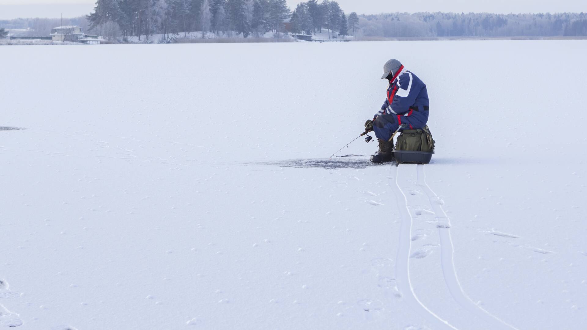 Pesca absurda de invierno 