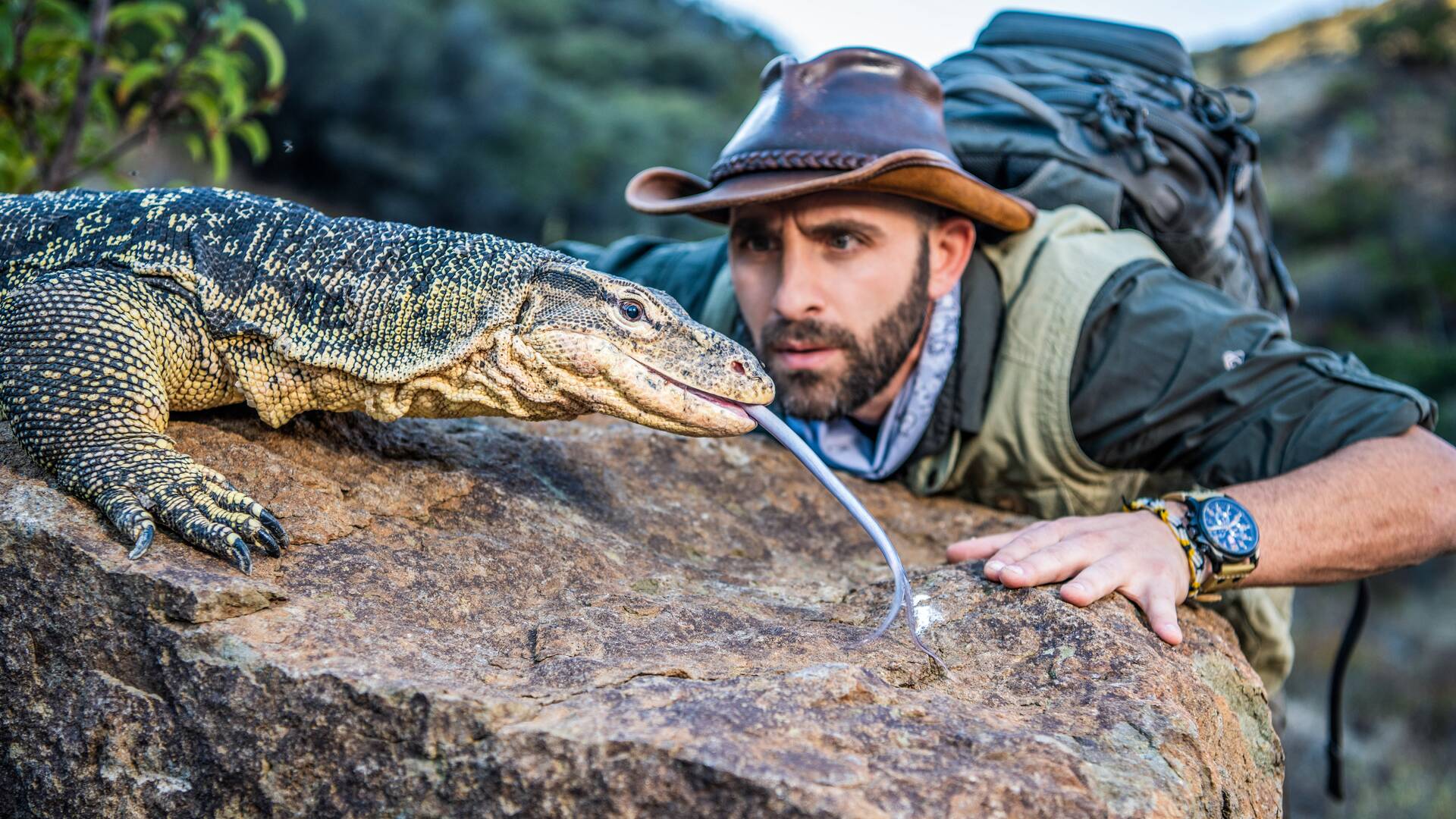 Coyote Peterson en lo...: El nido de las anacondas