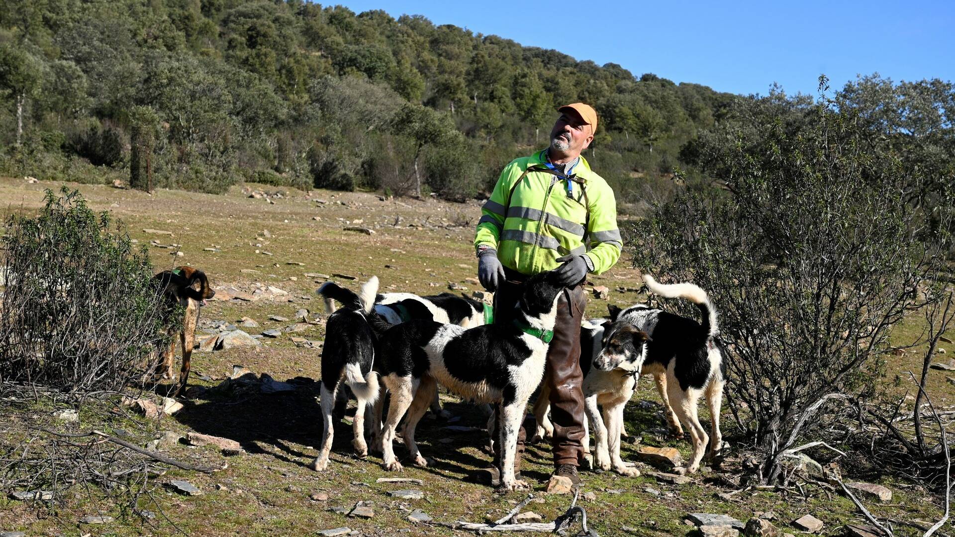 Los naveños de Navatrasierra