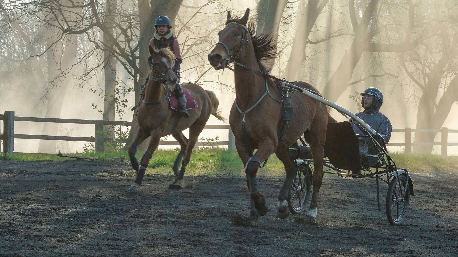 Zoe y Tempestad