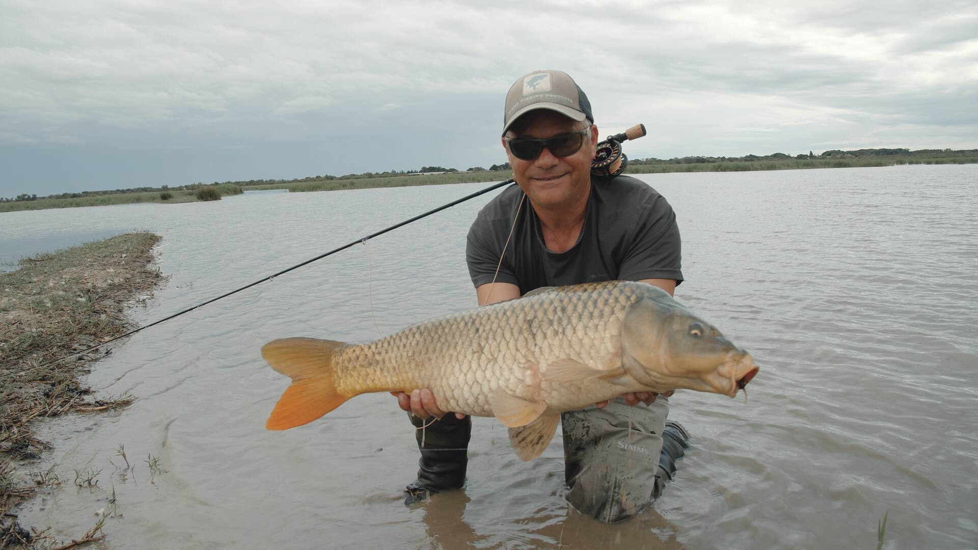 Carpas en  Camarga