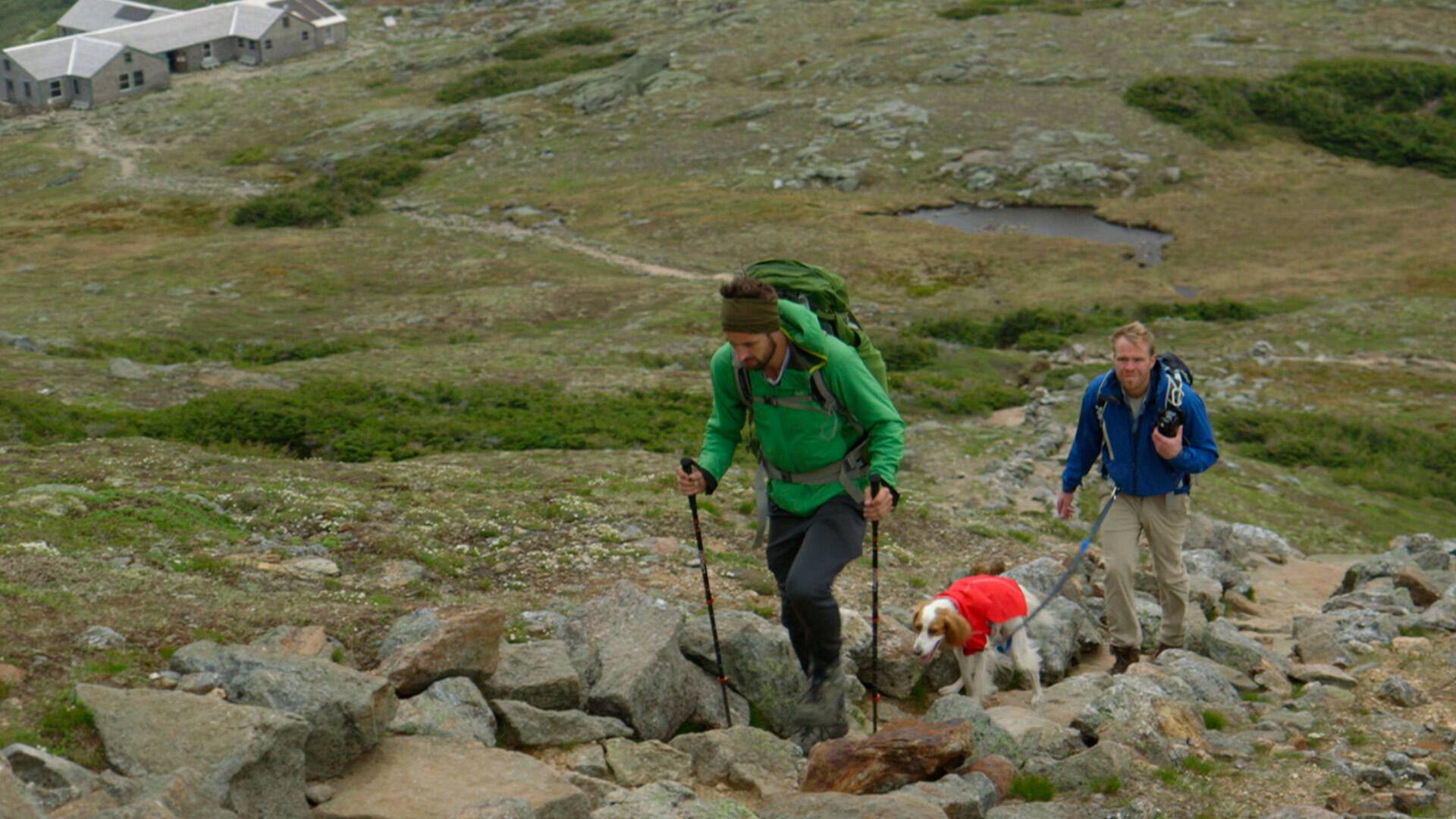 Rock the Park: Parque Nacional Jasper