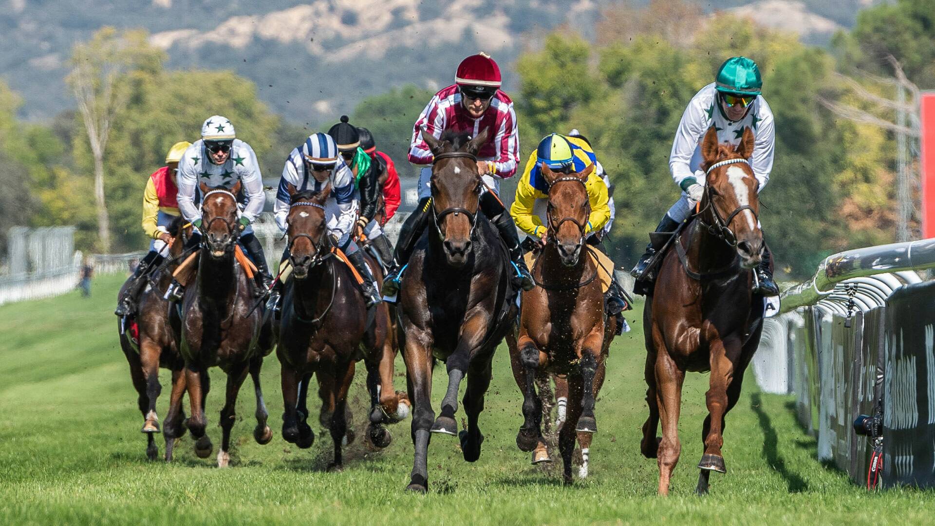 Carreras de... (2024): Hipodromo de La Zarzuela 06/10/2024