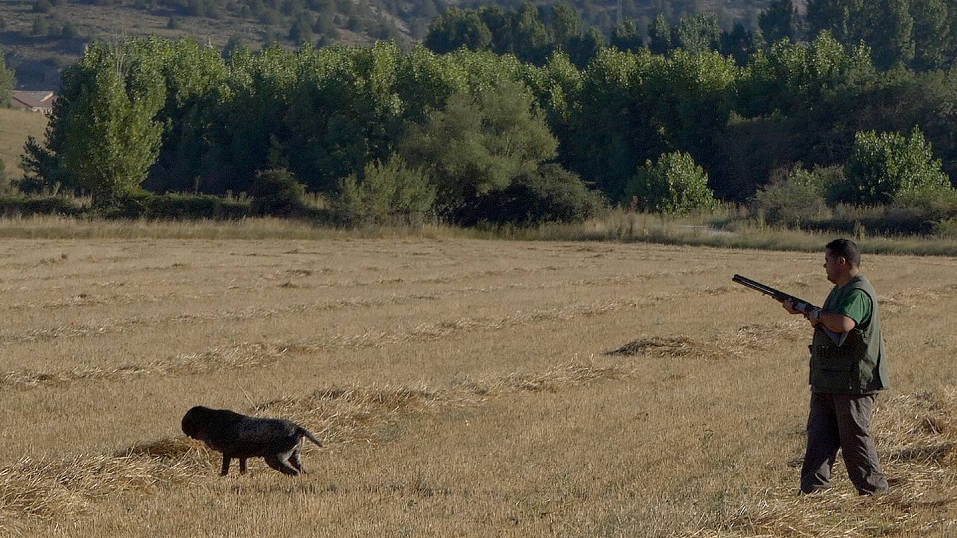 Entre pachones y perdigueros