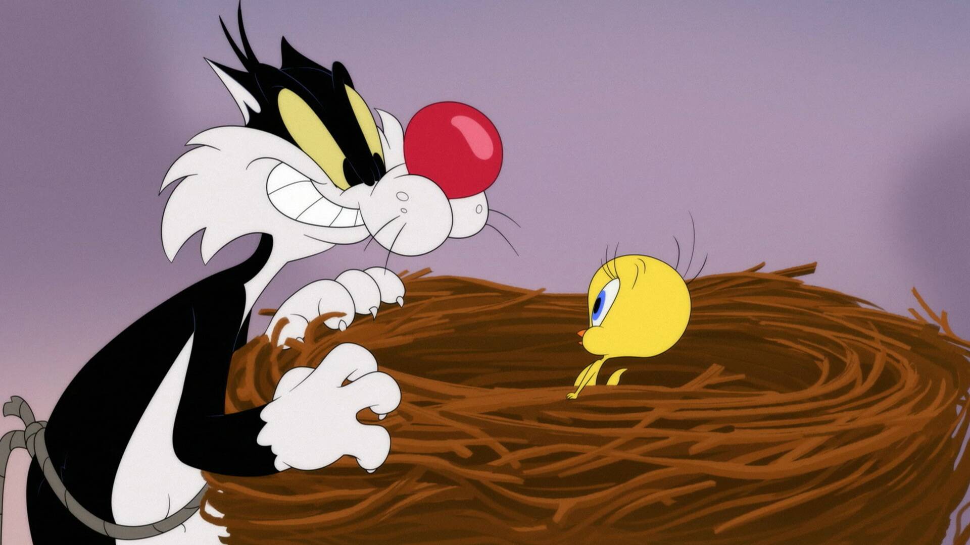 Looney Tunes... (T2): El astromóvil / La picadura del amor / Batalla radiofónica