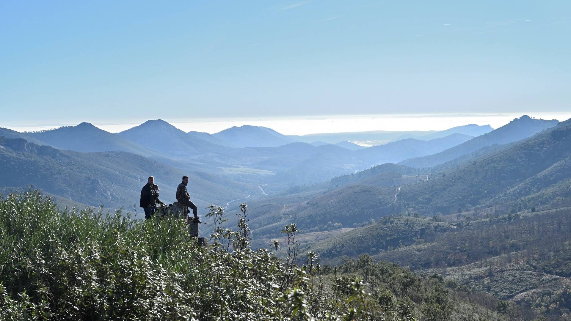 Lances monteros en la Sierra de Meda