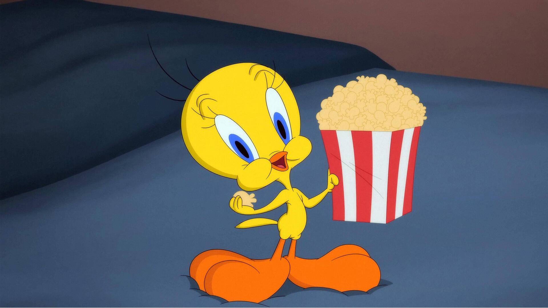 Looney Tunes... (T6): Un gato sin suerte / Un amor espinoso