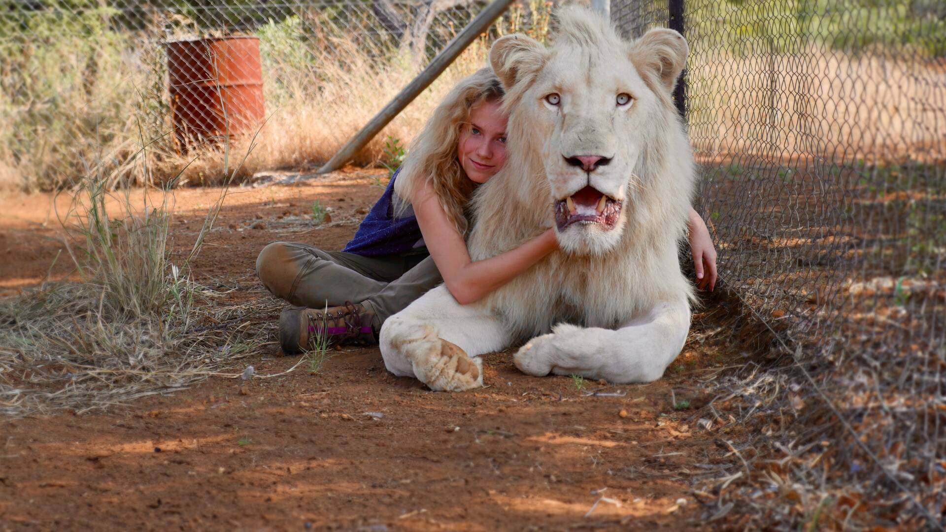 Mia y el león blanco