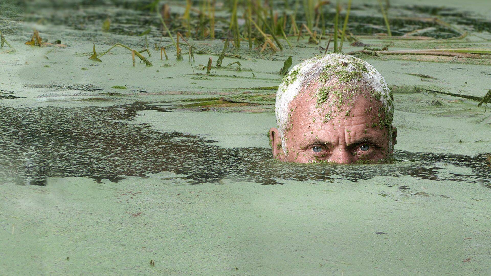 Aguas profundas con...: El retorno de la bestia australiana