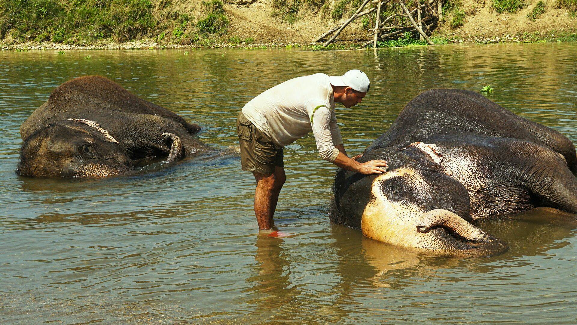 Wild Frank en India, Season 1 