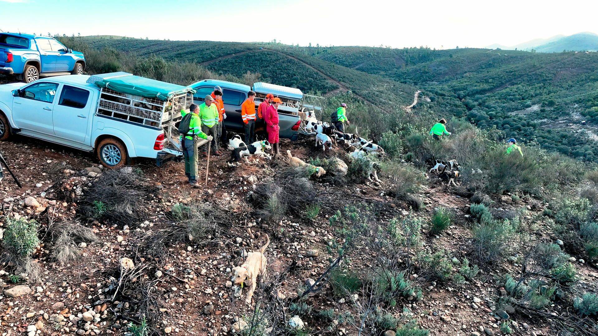 Monteando los jabalies de La Nava. 1º Parte