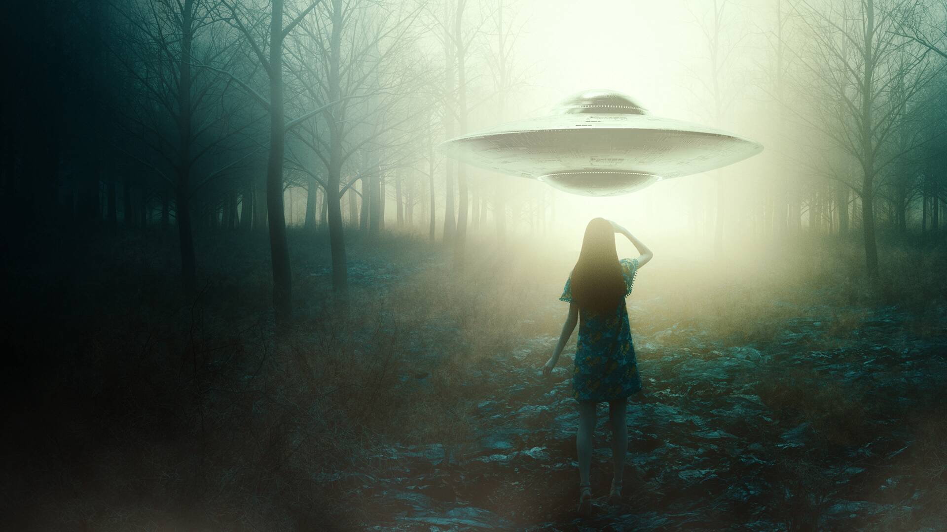 UFO Witness,... (T2): Hibridación alienígena-humana gris