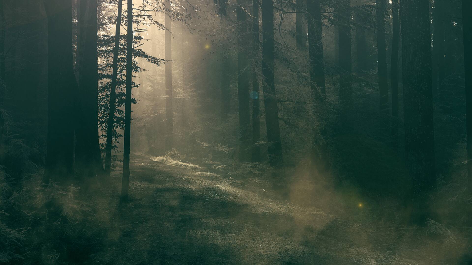 La maldición de... (T3): Estoy viendo un hombre lobo y está tratando de matarme