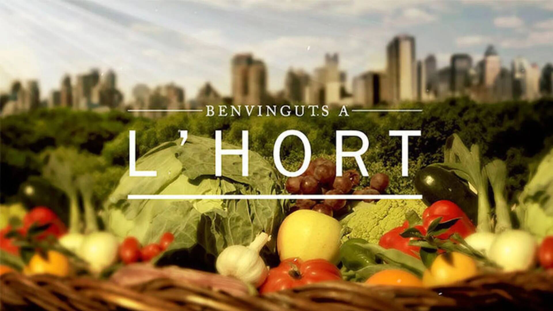 Benvinguts a l'hort (T1): Carbassó