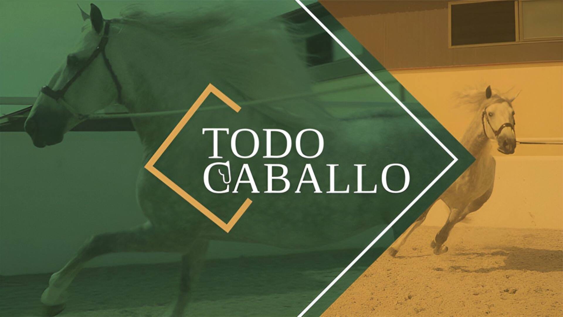 Todo caballo