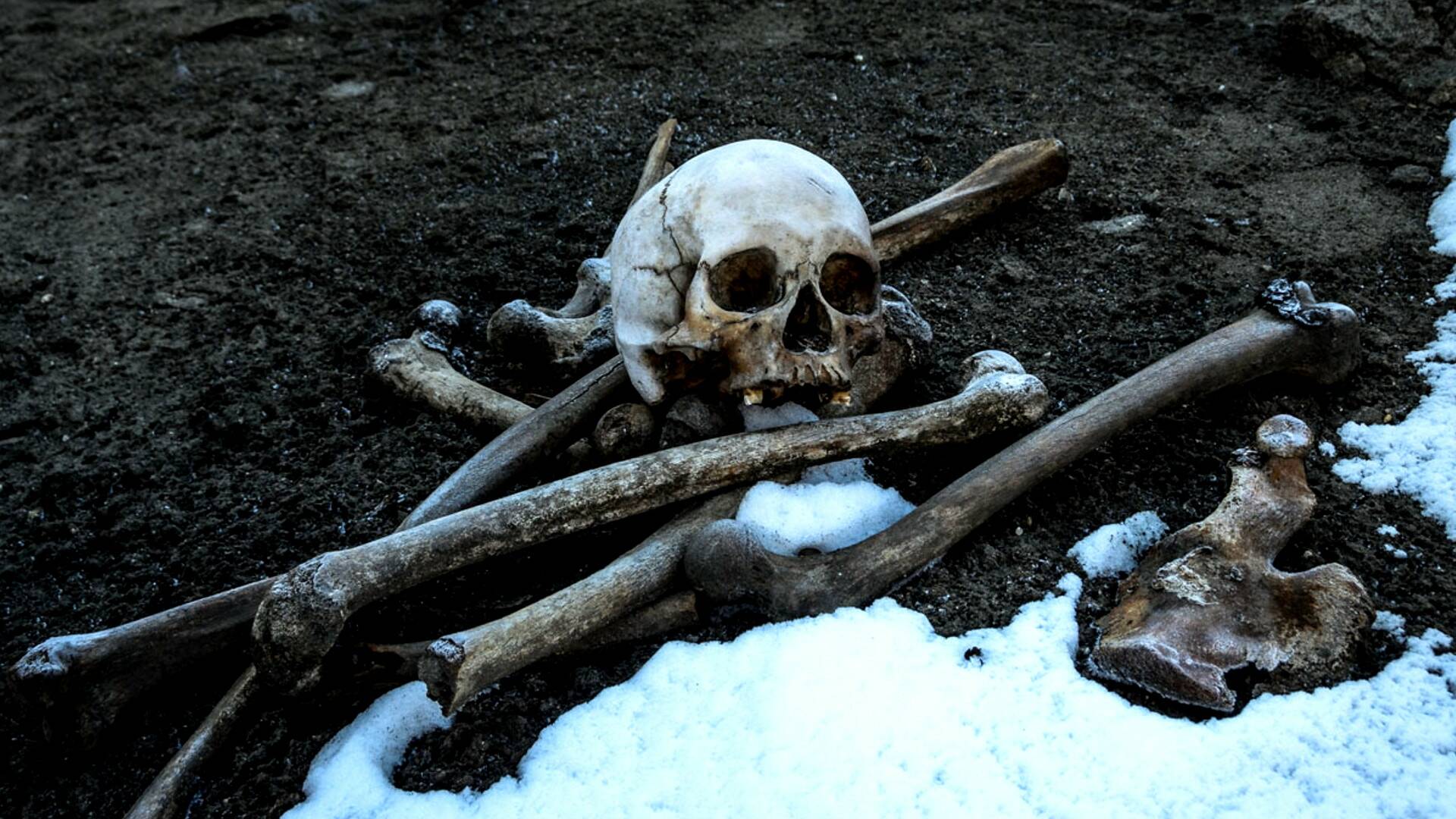 Arqueología en el hielo: La venganza del asesino zombi