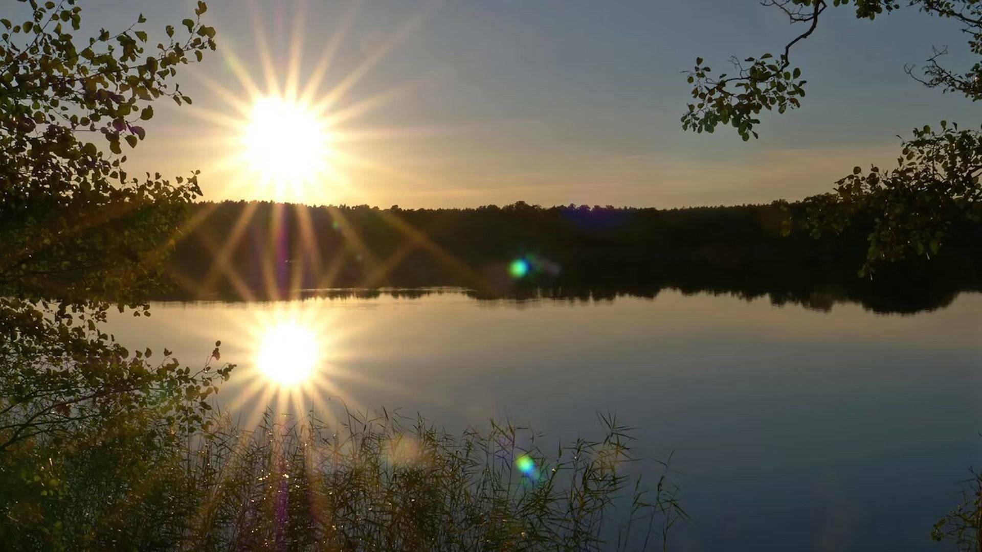 La fauna y la flora de los lagos secretos