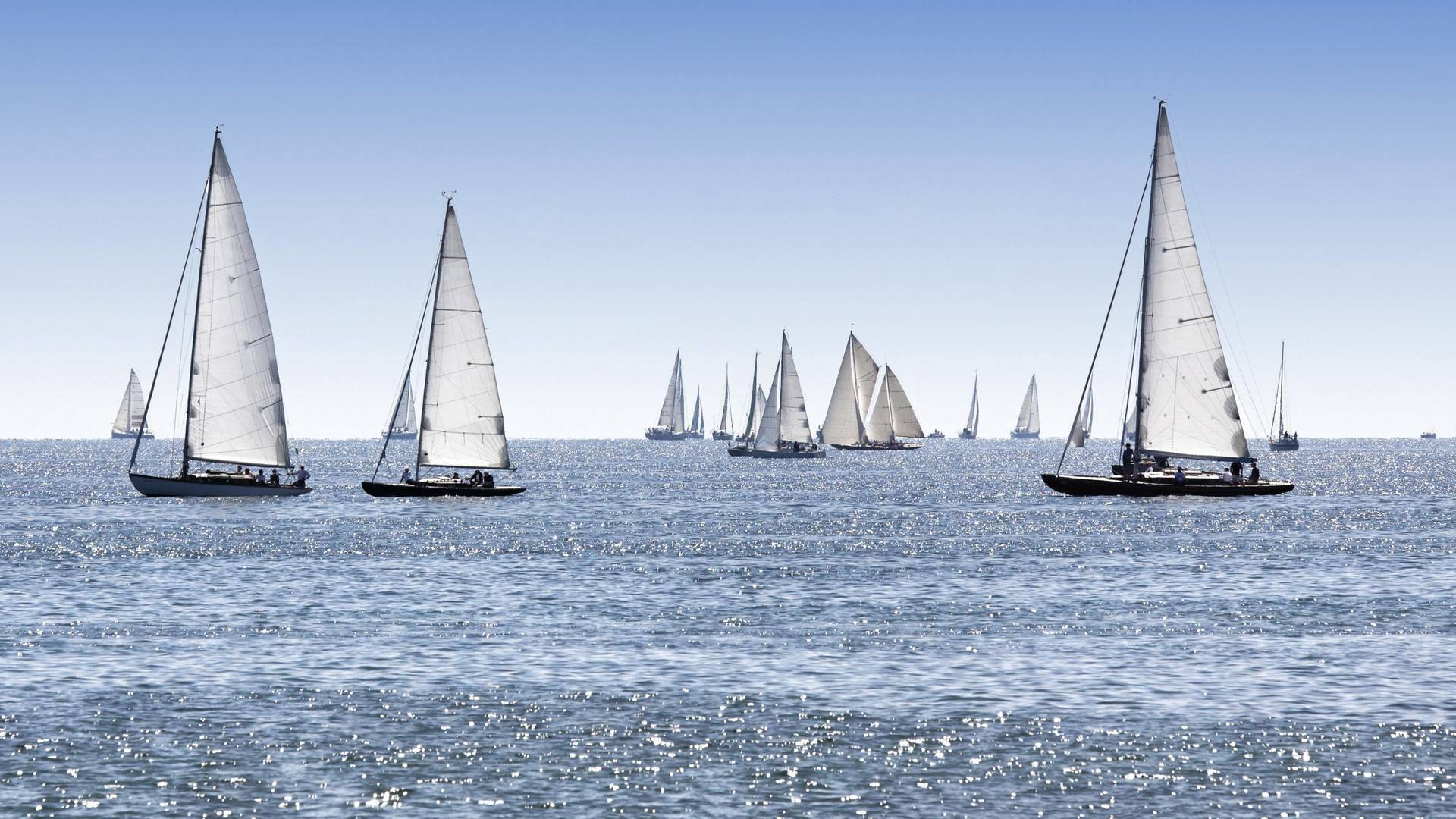 Copa del América de vela (F)