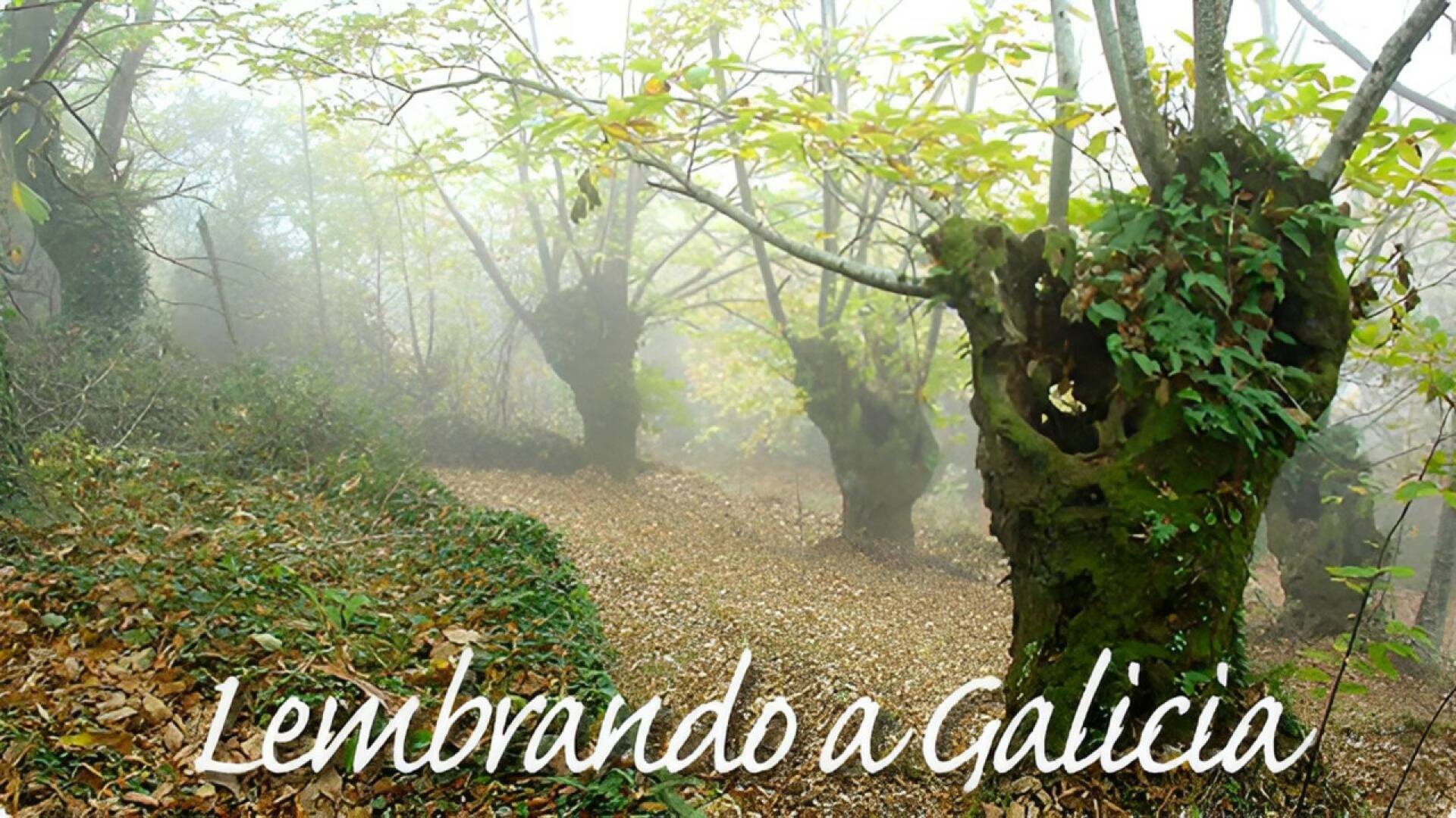 Lembrando a Galicia