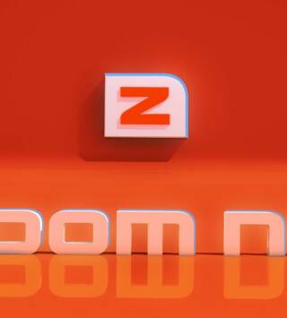 Zoom net