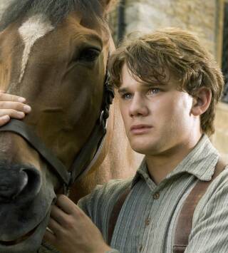 War Horse (Caballo de batalla)